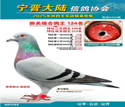 大陸特比四關(guān)鴿王124名