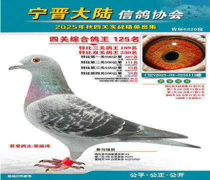 大陸特比四關(guān)鴿王125名