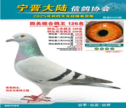 大陸特比四關(guān)鴿王126名