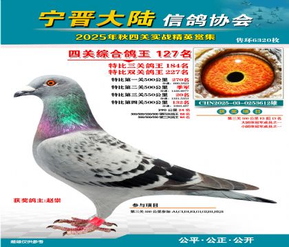 大陸特比四關(guān)鴿王127名
