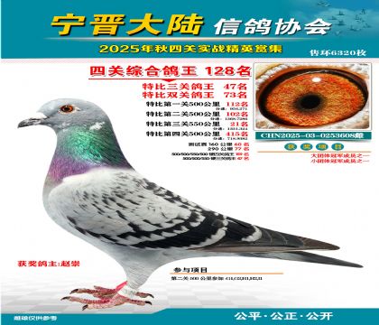大陸特比四關(guān)鴿王128名