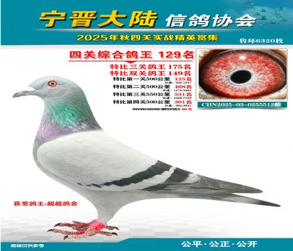 大陸特比四關(guān)鴿王129名