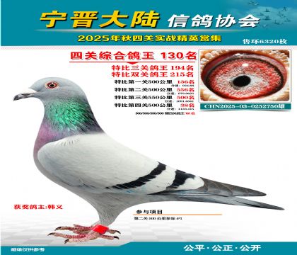 大陸特比四關(guān)鴿王130名