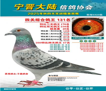 大陸特比四關(guān)鴿王131名