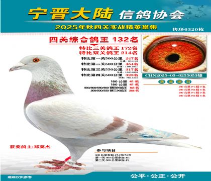 大陸特比四關(guān)鴿王132名
