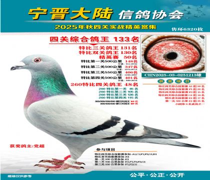 大陸特比四關(guān)鴿王133名