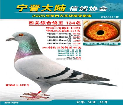 大陸特比四關(guān)鴿王134名