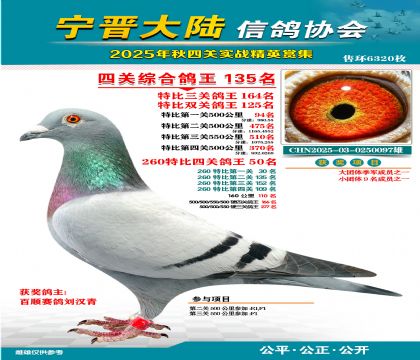 大陸特比四關(guān)鴿王135名