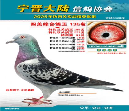 大陸特比四關(guān)鴿王136名