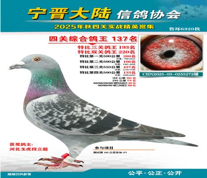 大陸特比四關(guān)鴿王137名