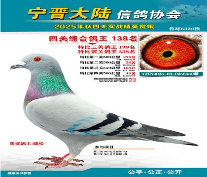 大陸特比四關(guān)鴿王138名