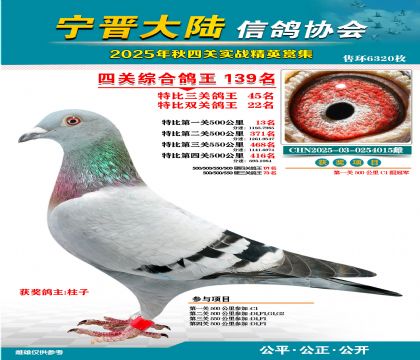 大陸特比四關(guān)鴿王139名