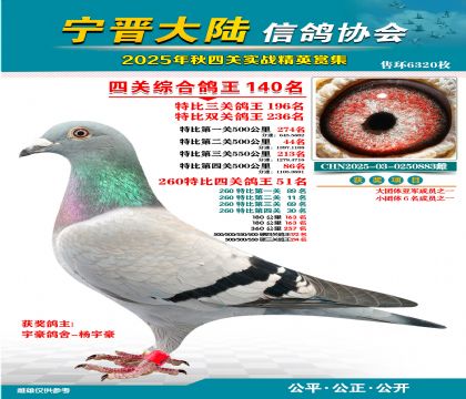 大陸特比四關(guān)鴿王140名