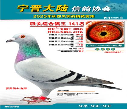 大陸特比四關(guān)鴿王141名