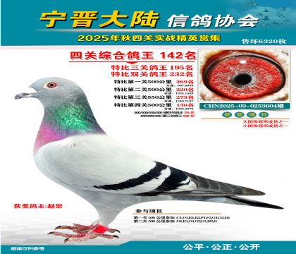 大陸特比四關(guān)鴿王142名