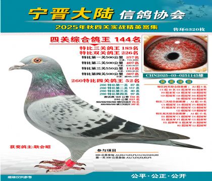 大陸特比四關(guān)鴿王144名