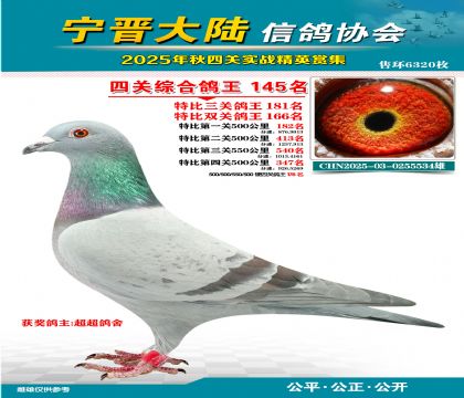 大陸特比四關(guān)鴿王145名