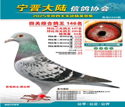 大陸特比四關(guān)鴿王146名