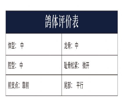 0555678�y(c��)�u(p��ng)