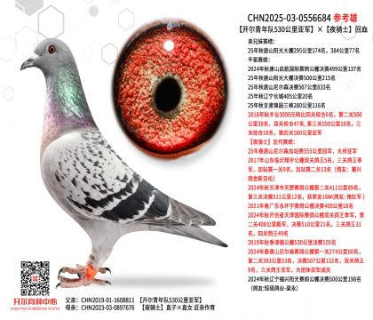 �_�������(du��)530���܊��ҹ�Tʿ��Ѫ