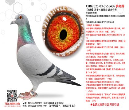 ����ֱ�ӡ�ֱ�OŮ  ���H����