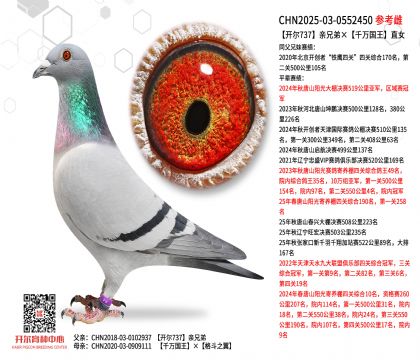 �_��737�H�ֵܡ�ǧ�f����ֱŮ