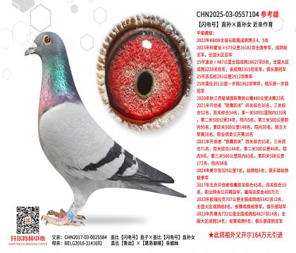 �W�̖(h��o)ֱ�O��ֱ�OŮ  ���H����