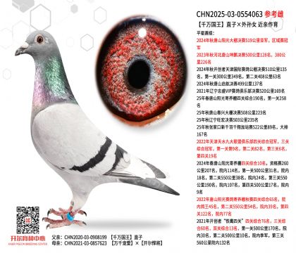 ǧ�f����ֱ�ӡ���OŮ ���H����