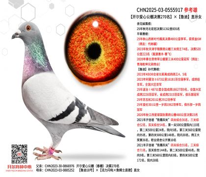 �_�����Ĺ���Qِ270������?sh��)�ֱ�OŮ