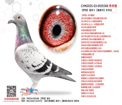 �_��ֱ�O���ٶ�̖(h��o)��OŮ