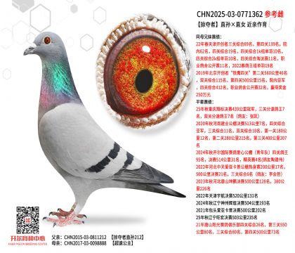 �ӊZ��ֱ�O��ֱŮ ���H����