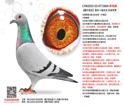 ñ�ӑ�ֱ�O��ֱ�OŮ ���H����