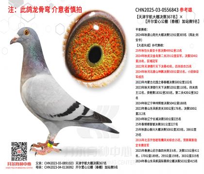 ��������Qِ367�����_�����Ĺ�������վِ9��