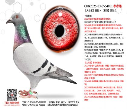 �����ֱ�O���ۿ�ֱ�OŮ