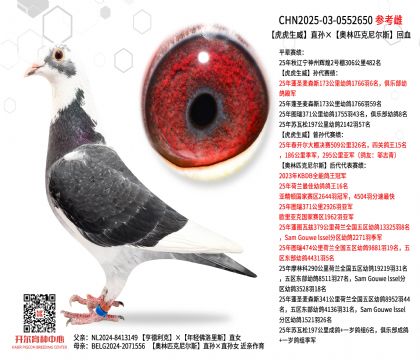 ��������ֱ�O���W��ƥ���᠖˹��Ѫ