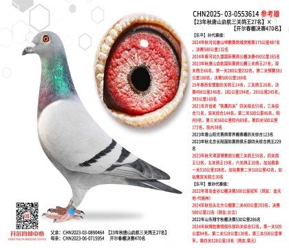 23������ɽ�������P(gu��n)����27�����_������Qِ470��