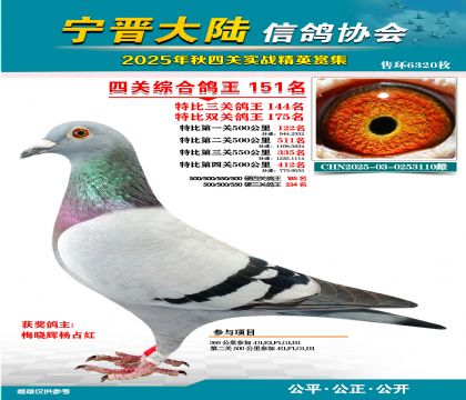 大陸特比四關(guān)鴿王151名
