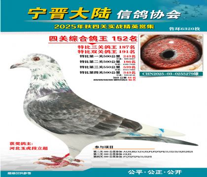 大陸特比四關(guān)鴿王152名