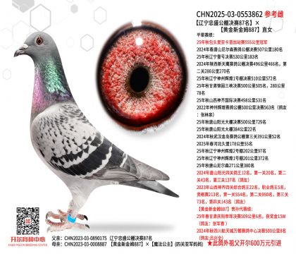 �|����ʢ����Qِ87�����S���½�ķ887ֱŮ