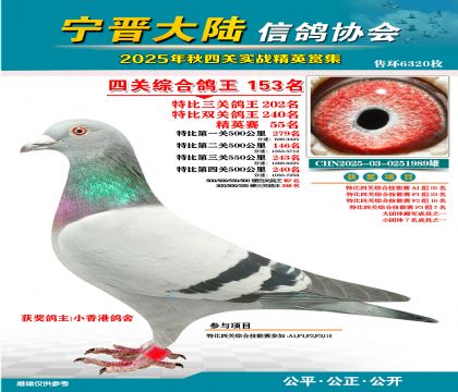 大陸特比四關(guān)鴿王153名
