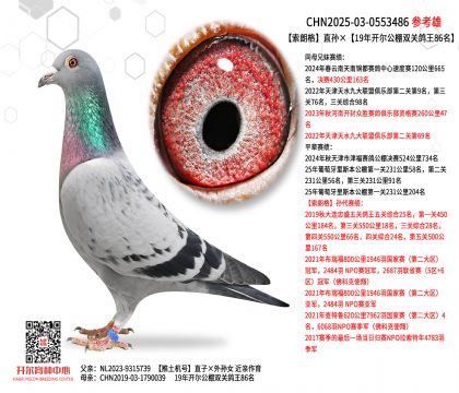 ���ʸ�ֱ�O��19���_�������p�P(gu��n)����86��