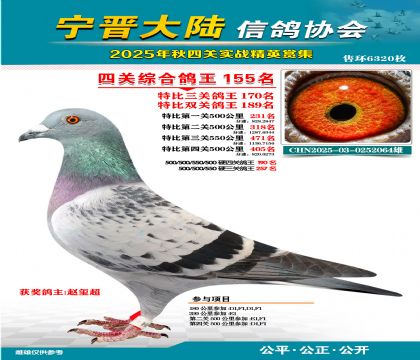 大陸特比四關(guān)鴿王155名