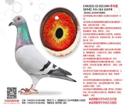 �ӊZ����O��ֱŮ  ���H����