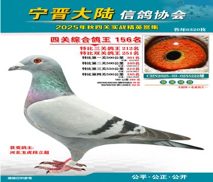大陸特比四關(guān)鴿王156名