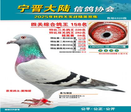 大陸特比四關(guān)鴿王158名
