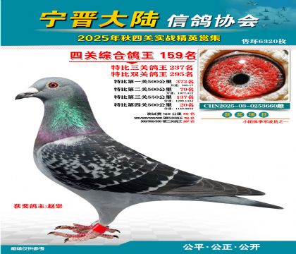 大陸特比四關(guān)鴿王159名