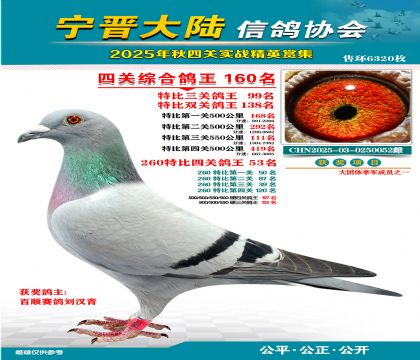 大陸特比四關(guān)鴿王160名