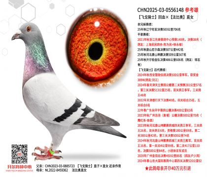 �w���Tʿ��Ѫ�����ȊWֱŮ