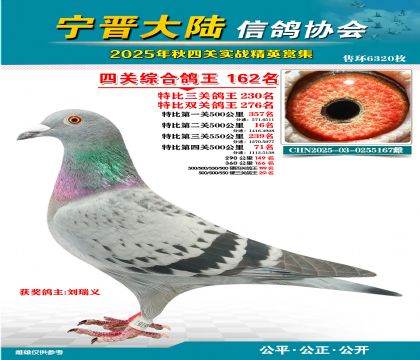大陸特比四關(guān)鴿王162名
