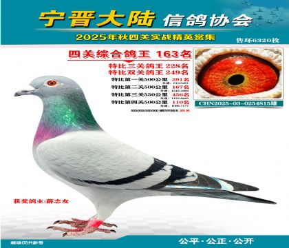大陸特比四關(guān)鴿王163名